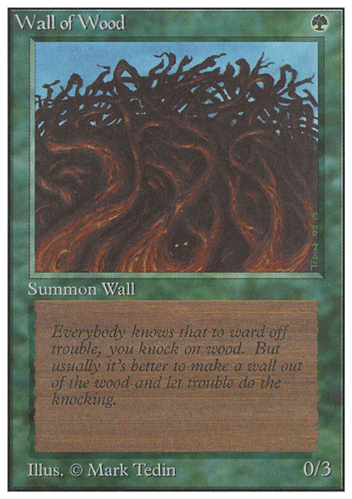 Wall of Wood magic card front